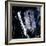 Cocaine-Kevin Curtis-Framed Premium Photographic Print