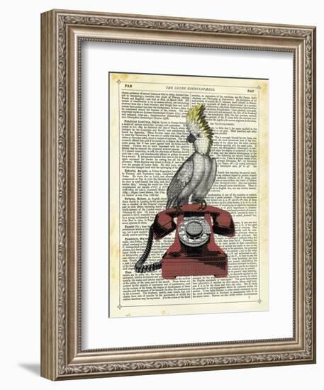 Cocatoo on Telephone-Marion Mcconaghie-Framed Art Print