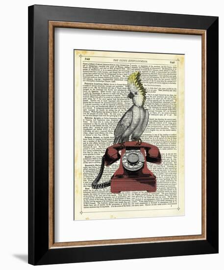 Cocatoo on Telephone-Marion Mcconaghie-Framed Art Print