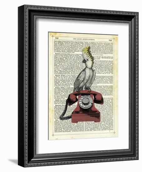 Cocatoo on Telephone-Marion Mcconaghie-Framed Art Print