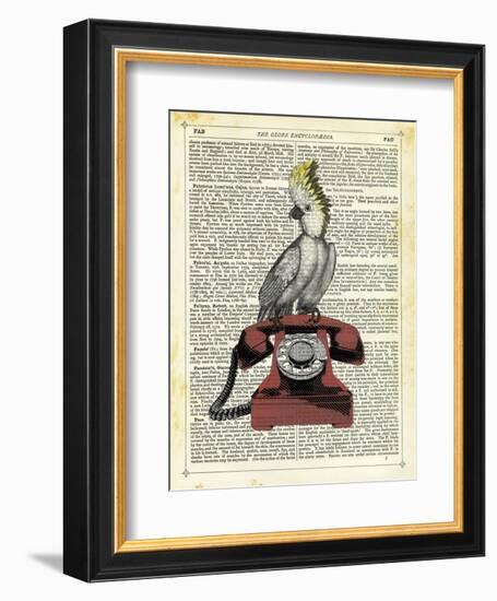 Cocatoo on Telephone-Marion Mcconaghie-Framed Art Print