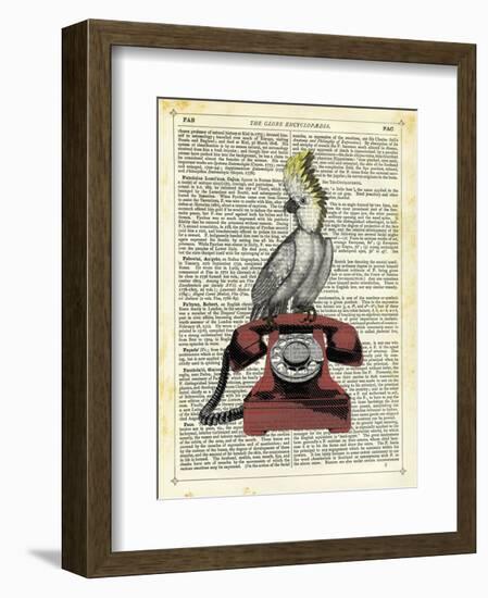 Cocatoo on Telephone-Marion Mcconaghie-Framed Art Print