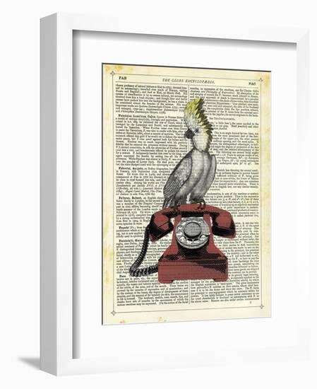 Cocatoo on Telephone-Marion Mcconaghie-Framed Art Print