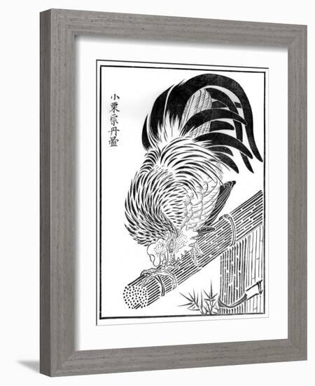 Cock, 15th Century-Oguri Sotan-Framed Giclee Print