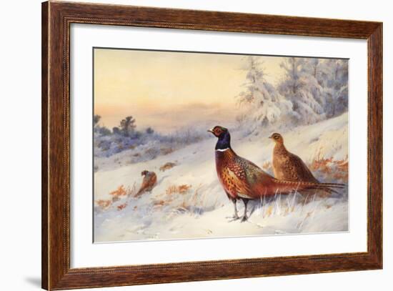 Cock and Hen Pheasant in Snow-Archibald Thorburn-Framed Art Print