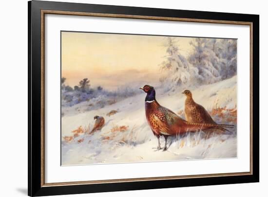 Cock and Hen Pheasant in Snow-Archibald Thorburn-Framed Art Print