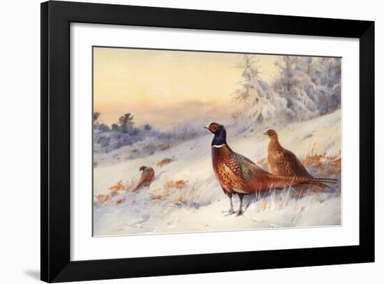 Cock and Hen Pheasant in Snow-Archibald Thorburn-Framed Art Print