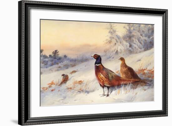 Cock and Hen Pheasant in Snow-Archibald Thorburn-Framed Art Print