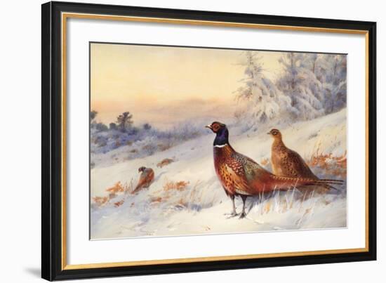 Cock and Hen Pheasant in Snow-Archibald Thorburn-Framed Art Print