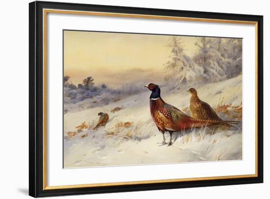 Cock and Hen Pheasant in the Snow-Archibald Thorburn-Framed Premium Giclee Print