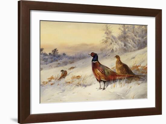 Cock and Hen Pheasant in the Snow-Archibald Thorburn-Framed Premium Giclee Print