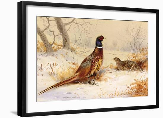 Cock and Hen Pheasant-Archibald Thorburn-Framed Premium Giclee Print