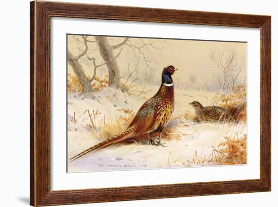 Cock and Hen Pheasant-Archibald Thorburn-Framed Premium Giclee Print