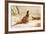 Cock and Hen Pheasant-Archibald Thorburn-Framed Premium Giclee Print