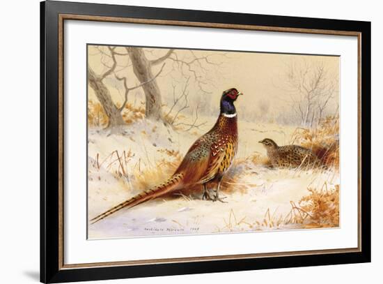 Cock and Hen Pheasant-Archibald Thorburn-Framed Premium Giclee Print