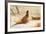 Cock and Hen Pheasant-Archibald Thorburn-Framed Premium Giclee Print