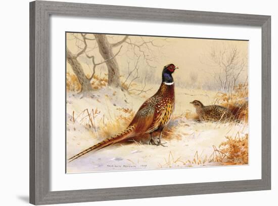 Cock and Hen Pheasant-Archibald Thorburn-Framed Premium Giclee Print