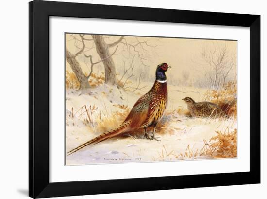 Cock and Hen Pheasant-Archibald Thorburn-Framed Premium Giclee Print