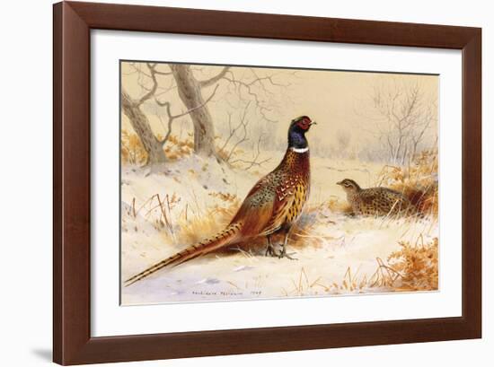 Cock and Hen Pheasant-Archibald Thorburn-Framed Premium Giclee Print