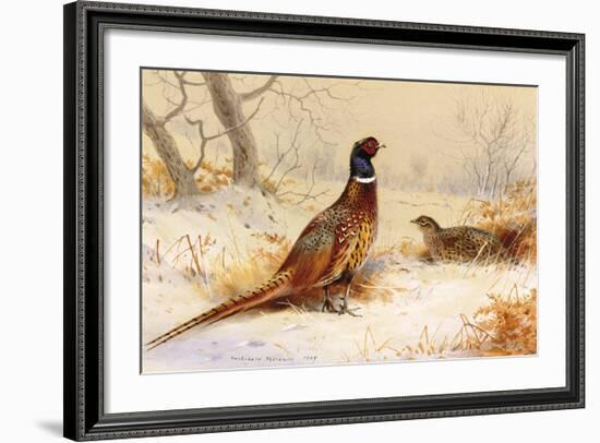 Cock and Hen Pheasant-Archibald Thorburn-Framed Premium Giclee Print