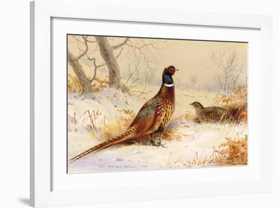 Cock and Hen Pheasant-Archibald Thorburn-Framed Premium Giclee Print