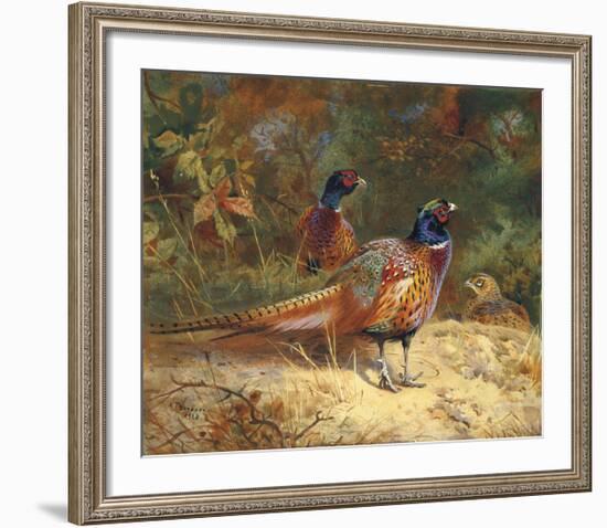 Cock and Hen Pheasants in the Woodlands-Archibald Thorburn-Framed Premium Giclee Print