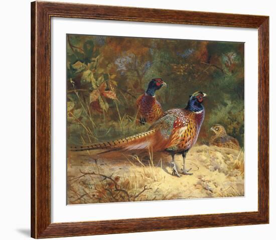 Cock and Hen Pheasants in the Woodlands-Archibald Thorburn-Framed Premium Giclee Print