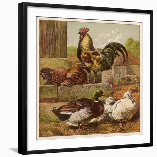 Art Print, , large