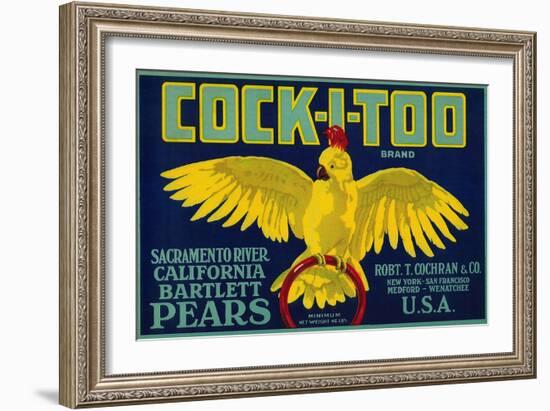 Cock-I-Too Pear Crate Label - Sacramento Valley, CA-Lantern Press-Framed Art Print