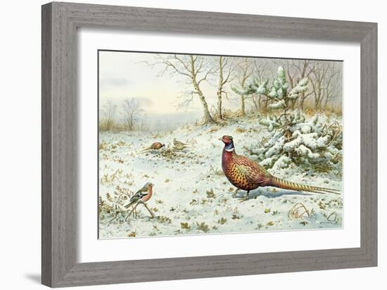 Cock Pheasant and Chaffinch-Carl Donner-Framed Giclee Print