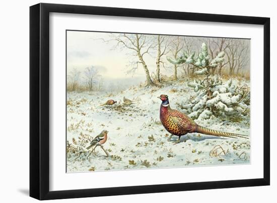 Cock Pheasant and Chaffinch-Carl Donner-Framed Giclee Print