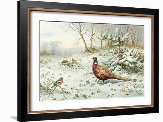 Cock Pheasant and Chaffinch-Carl Donner-Framed Giclee Print