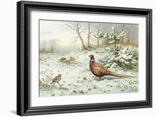 Cock Pheasant and Chaffinch-Carl Donner-Framed Giclee Print