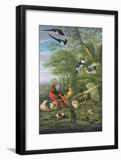 Cock Pheasant, Hen Pheasant and Chicks and Other Birds in a Classical Landscape-Pieter Casteels-Framed Giclee Print