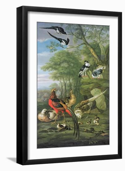 Cock Pheasant, Hen Pheasant and Chicks and Other Birds in a Classical Landscape-Pieter Casteels-Framed Giclee Print