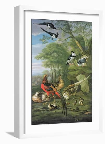 Cock Pheasant, Hen Pheasant and Chicks and Other Birds in a Classical Landscape-Pieter Casteels-Framed Giclee Print