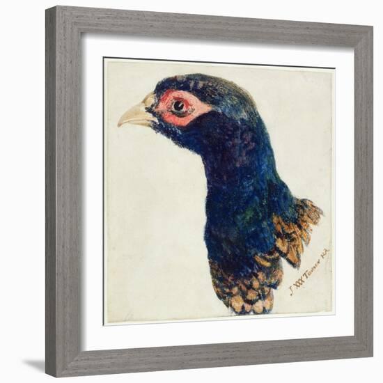 Cock Pheasant, the Farnley Book of Birds, C.1816-J. M. W. Turner-Framed Giclee Print