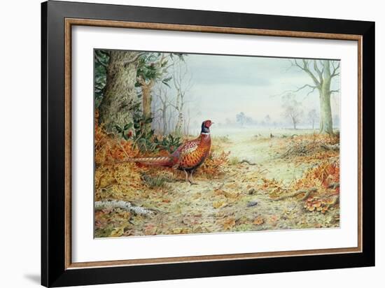 Cock Pheasant-Carl Donner-Framed Giclee Print
