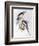 Cockatiel (Nymphicus Hollandicus)-John Gould-Framed Giclee Print