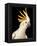 Cockatiel-Martin Harvey-Framed Premier Image Canvas