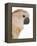 Cockatiel-Martin Harvey-Framed Premier Image Canvas