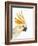 Cockatiel-Martin Harvey-Framed Photographic Print