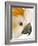 Cockatiel-Martin Harvey-Framed Photographic Print