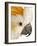 Cockatiel-Martin Harvey-Framed Photographic Print