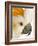 Cockatiel-Martin Harvey-Framed Photographic Print