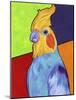 Cockatiel-Corina St. Martin-Mounted Giclee Print