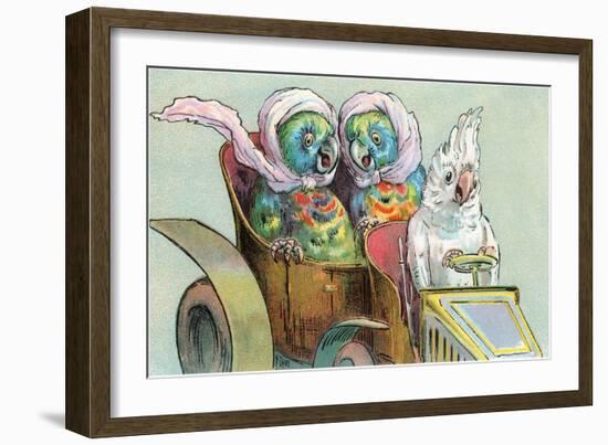 Cockatoo Driving Parrots-null-Framed Art Print
