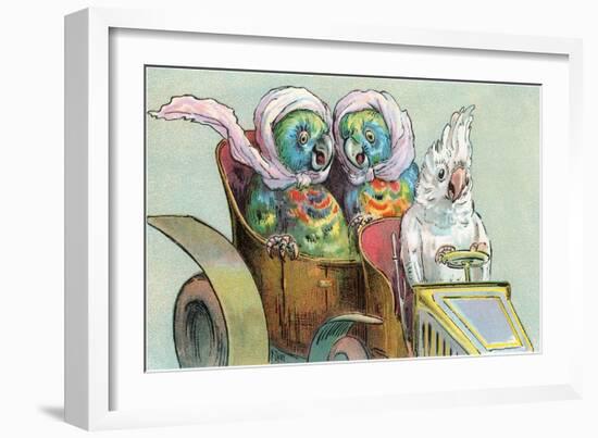 Cockatoo Driving Parrots-null-Framed Art Print