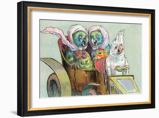 Cockatoo Driving Parrots-null-Framed Art Print