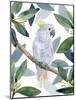 Cockatoo Perch I-Annie Warren-Mounted Art Print